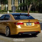 Ducktail Honda Accord 8