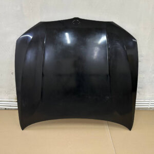 Hood BMW 3 G20 G21 Fiberglass